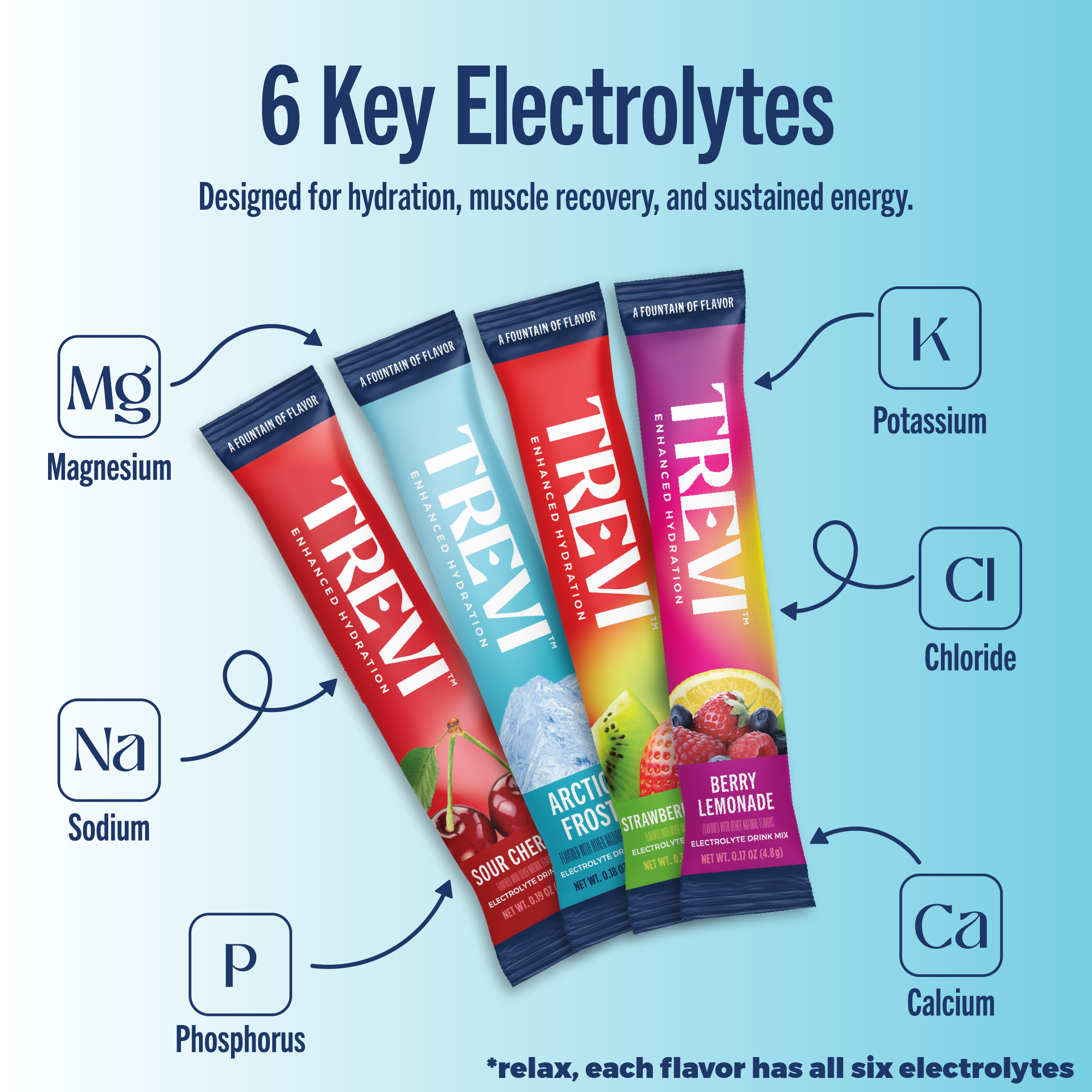 Everyday Hydration: 40 Serving: Variety Pack Favorites