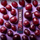 Everyday Hydration: 40 Serving: Grape