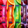 Everyday Hydration: 40 Serving: Variety Pack Classic